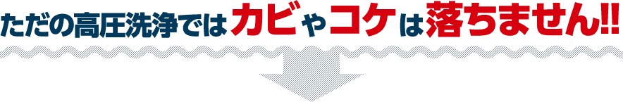 ただの高圧洗浄ではカビやコケは落ちません!!